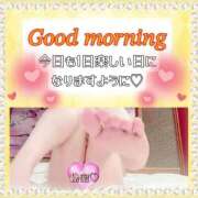 ヒメ日記 2025/01/25 06:29 投稿 はるな 大阪和泉ちゃんこ