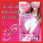 ヒメ日記 2025/01/26 17:29 投稿 はるな 大阪和泉ちゃんこ