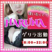 ヒメ日記 2025/01/29 18:09 投稿 はるな 大阪和泉ちゃんこ