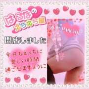 ヒメ日記 2025/02/11 15:09 投稿 はるな 大阪和泉ちゃんこ