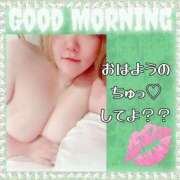 ヒメ日記 2025/02/12 07:49 投稿 はるな 大阪和泉ちゃんこ