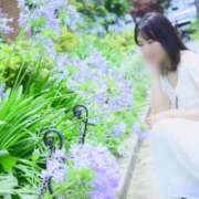 ヒメ日記 2024/08/25 21:13 投稿 Mae Yashiro ELEGANT－エレガント－