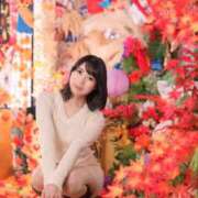 ヒメ日記 2024/11/12 21:02 投稿 Mae Yashiro ELEGANT－エレガント－