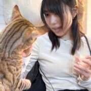 ヒメ日記 2025/02/19 22:12 投稿 Mae Yashiro ELEGANT－エレガント－