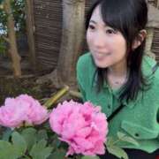 ヒメ日記 2025/03/20 22:24 投稿 Mae Yashiro ELEGANT－エレガント－