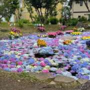 ヒメ日記 2025/10/29 21:33 投稿 Mae Yashiro ELEGANT－エレガント－