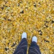 ヒメ日記 2025/11/23 06:32 投稿 Mae Yashiro ELEGANT－エレガント－