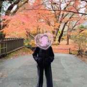 ヒメ日記 2025/11/23 16:49 投稿 Mae Yashiro ELEGANT－エレガント－