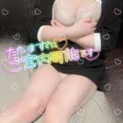 ヒメ日記 2024/12/31 00:27 投稿 宮田【みやた】 丸妻 西船橋店