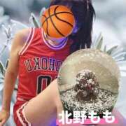 ヒメ日記 2026/07/04 07:15 投稿 北野もも(きたのもも) 神戸妻
