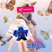 ヒメ日記 2026/07/21 07:12 投稿 北野もも(きたのもも) 神戸妻