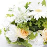 ヒメ日記 2025/08/05 10:41 投稿 優愛(ゆあ) グランドオペラ横浜