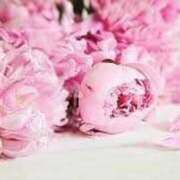 ヒメ日記 2025/08/12 16:21 投稿 優愛(ゆあ) グランドオペラ横浜