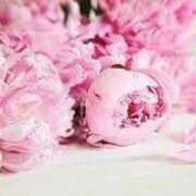 ヒメ日記 2025/08/21 16:02 投稿 優愛(ゆあ) グランドオペラ横浜