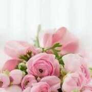 ヒメ日記 2026/02/23 01:01 投稿 優愛(ゆあ) グランドオペラ横浜