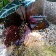 ヒメ日記 2025/07/27 17:20 投稿 ゆうか 熟女家 豊中蛍池店