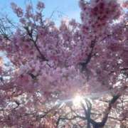 ひなの 春だね～🎶🌸 上野ハイブリッドマッサージ