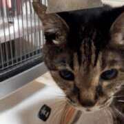 ヒメ日記 2025/02/22 05:53 投稿 きらら みんなのデリヘル