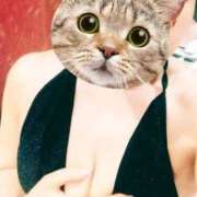 ヒメ日記 2025/03/15 05:26 投稿 きらら みんなのデリヘル