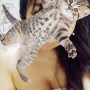 ヒメ日記 2025/04/06 05:55 投稿 きらら みんなのデリヘル