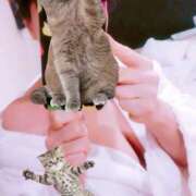 ヒメ日記 2025/05/18 02:00 投稿 きらら みんなのデリヘル