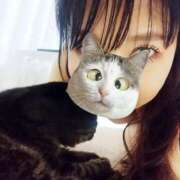 ヒメ日記 2025/06/25 03:33 投稿 きらら みんなのデリヘル