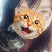 ヒメ日記 2025/07/25 04:49 投稿 きらら みんなのデリヘル