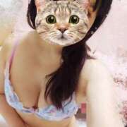 ヒメ日記 2025/09/13 04:14 投稿 きらら みんなのデリヘル