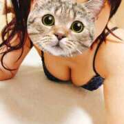 ヒメ日記 2026/01/31 10:16 投稿 きらら みんなのデリヘル