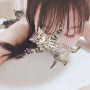 ヒメ日記 2026/02/05 03:47 投稿 きらら みんなのデリヘル