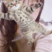 ヒメ日記 2026/02/15 03:50 投稿 きらら みんなのデリヘル