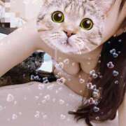 ヒメ日記 2026/02/21 06:00 投稿 きらら みんなのデリヘル