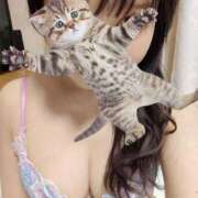 ヒメ日記 2026/02/25 06:48 投稿 きらら みんなのデリヘル