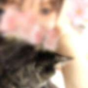 ヒメ日記 2026/03/21 07:01 投稿 きらら みんなのデリヘル