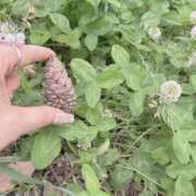 ヒメ日記 2025/05/27 17:46 投稿 もえ みんなのデリヘル