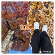 ヒメ日記 2025/11/26 17:36 投稿 もえ みんなのデリヘル