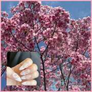 ヒメ日記 2026/04/01 17:23 投稿 もえ みんなのデリヘル