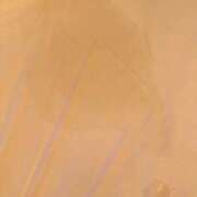 ヒメ日記 2025/07/06 14:42 投稿 赤星(あかほし) 熟女の風俗最終章 大宮店