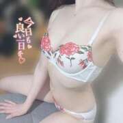 ヒメ日記 2026/03/01 11:42 投稿 ミレイ 信州無限GP 総合受付 諏訪店