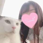 ミレイ ペット飼いたい人🙋‍♀️ 信州無限GP 総合受付 諏訪店