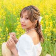 ヒメ日記 2025/04/26 11:31 投稿 めあり 名古屋Ｍ性感 ルーフ倶楽部