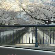 ヒメ日記 2025/03/31 02:44 投稿 なるみ 越谷熟女デリヘル マダムエプロン