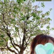 ヒメ日記 2025/04/22 20:11 投稿 なるみ 越谷熟女デリヘル マダムエプロン