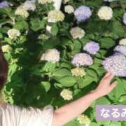 ヒメ日記 2025/05/21 19:56 投稿 なるみ 越谷熟女デリヘル マダムエプロン