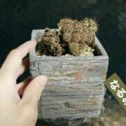 ヒメ日記 2025/05/26 04:46 投稿 なるみ 越谷熟女デリヘル マダムエプロン