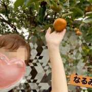 ヒメ日記 2025/11/03 02:16 投稿 なるみ 越谷熟女デリヘル マダムエプロン