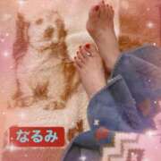 ヒメ日記 2026/03/09 03:06 投稿 なるみ 越谷熟女デリヘル マダムエプロン