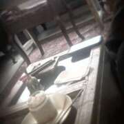 ヒメ日記 2025/11/22 21:31 投稿 まひる 奥鉄オクテツ東京店（デリヘル市場）