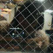 ヒメ日記 2026/02/28 20:48 投稿 まひる 奥鉄オクテツ東京店（デリヘル市場）