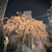 ヒメ日記 2026/03/27 15:04 投稿 まひる 奥鉄オクテツ東京店（デリヘル市場）